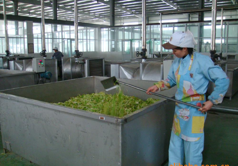 Leafy Vegetable Dryer Box Leafy Vegetable Dryer Box